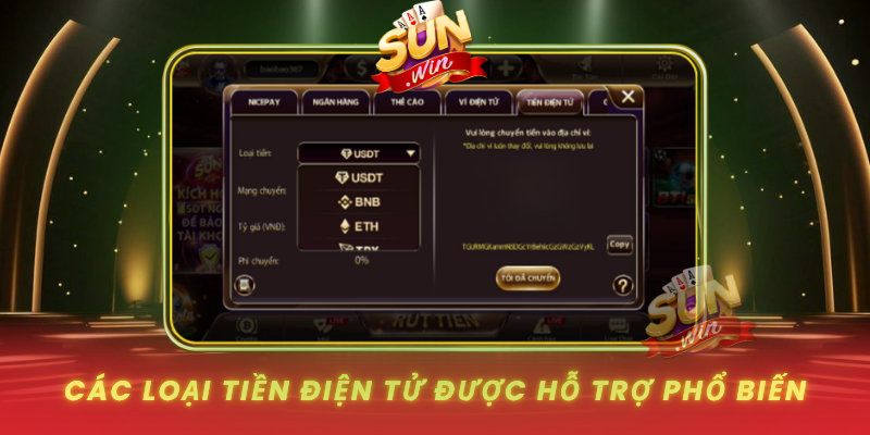 Cac Loai Tien Dien Tu Duoc Ho Tro Pho Bien