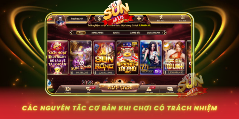 Cac Nguyen Tac Co Ban Khi Choi Co Trach Nhiem