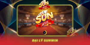Dai Ly Sunwin Co Hoi Kinh Doanh Hap Dan Nam 2026