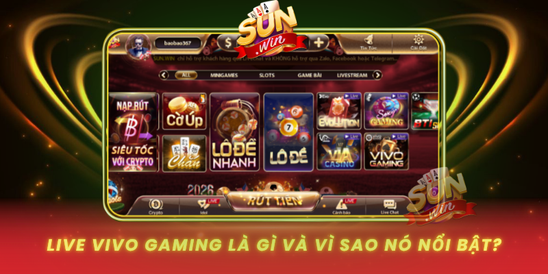 Live Vivo Gaming La Gi Va Vi Sao No Noi Bat