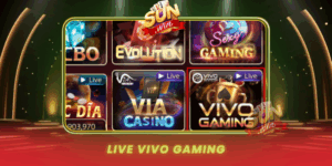 Live Vivo Gaming San Choi Truc Tiep Dinh Cao Tai Sunwin